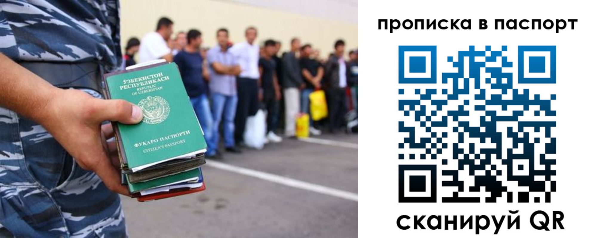 прописка в квартире в Светлограде